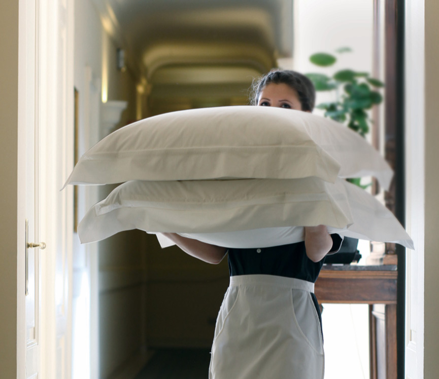 A Comprehensive Platform For Living Aesthetics